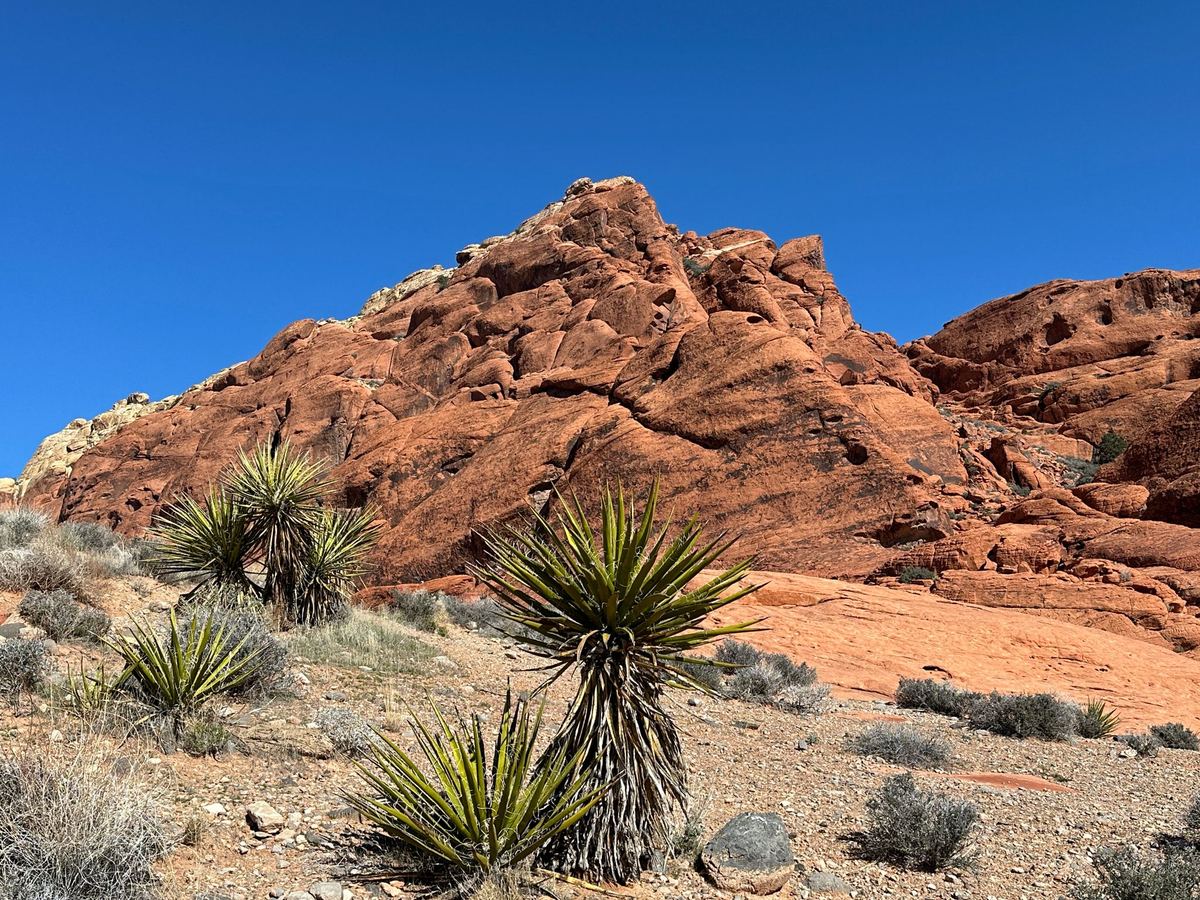 Hiking trail at Red Rock Canyon Nevada
