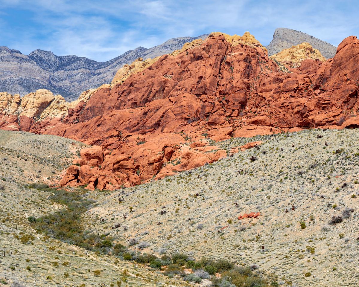 Summer scene at Red Rock Canyon Nevada