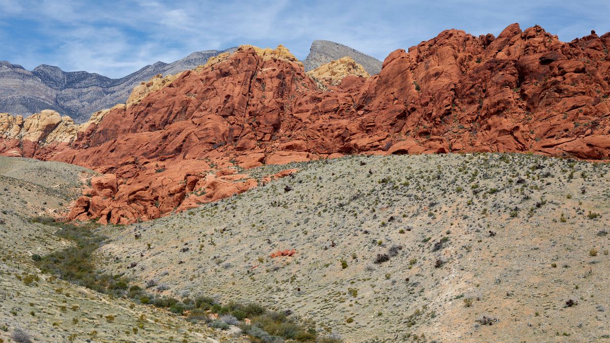 Summer scene at Red Rock Canyon Nevada
